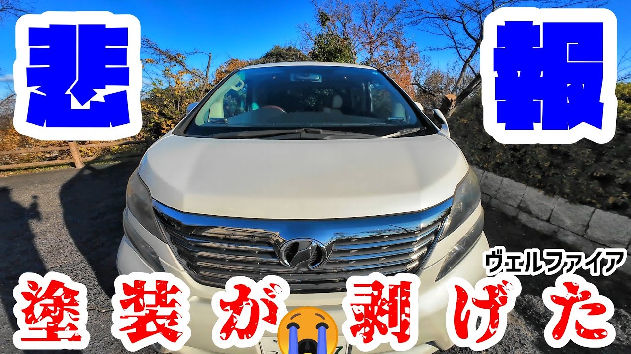 【塗装剥がれ】ヴェルファイアの塗装剥がれと再塗装費用についてお話しします【20ヴェルファイア】