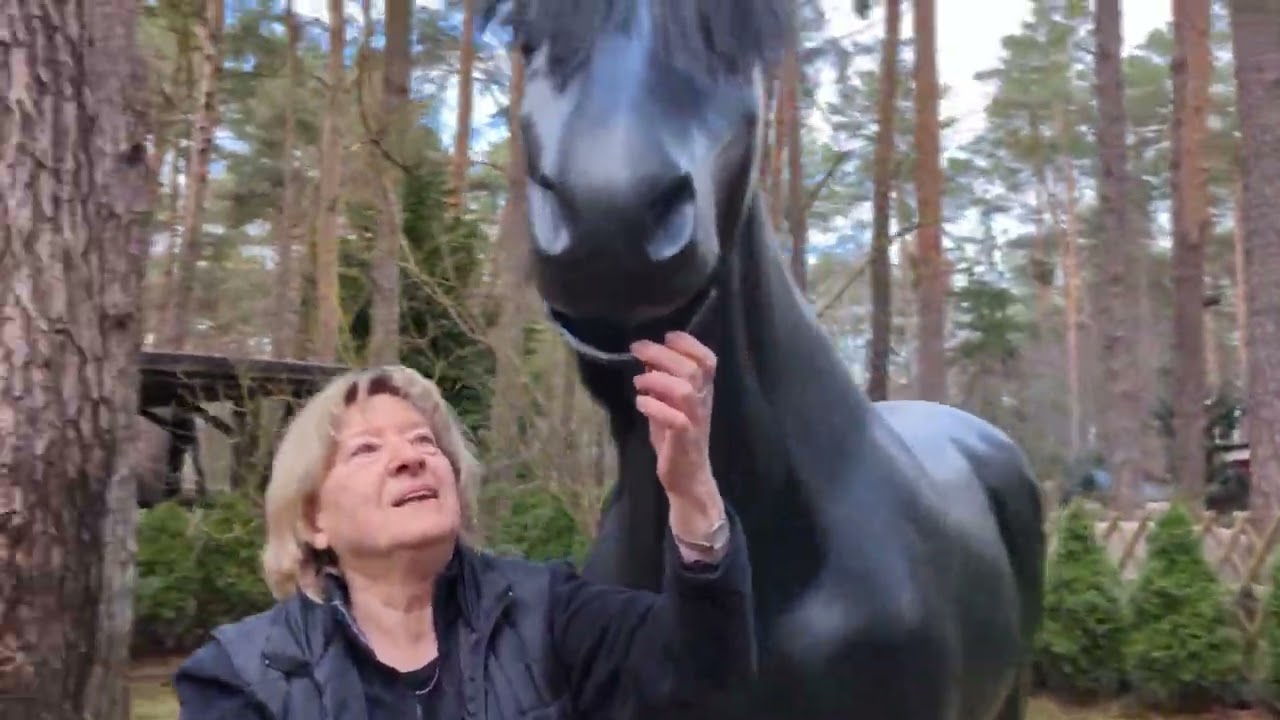 Tornado und die Chefin &hellip; 3D Pferde Modell lebensgro&szlig; &hellip;. Fragen? Tel. 033767 30 750
