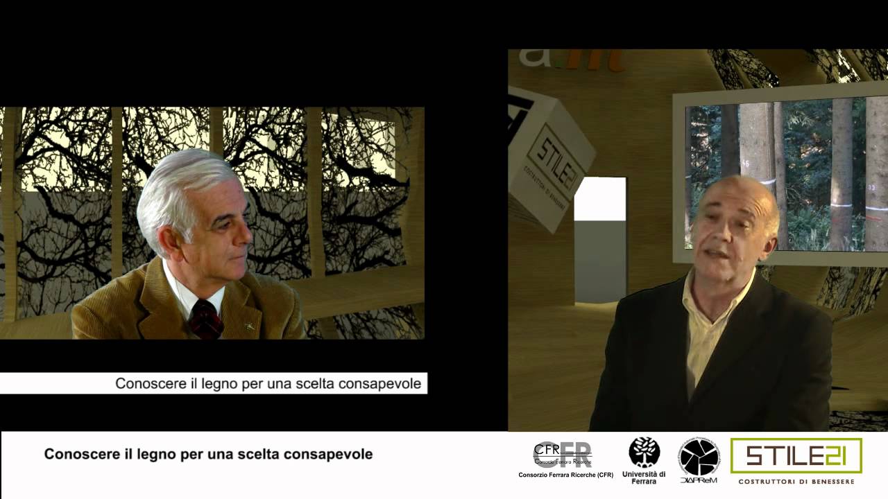 6 - intervista Ing. Antonio Frighi - Conoscere il legno per una scelta consapevole