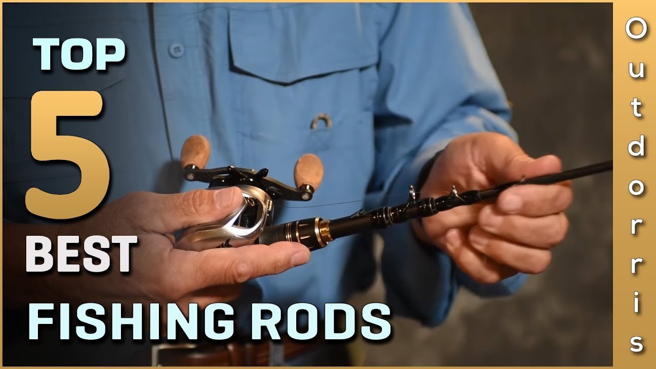 Top 5 Best Fishing Rods Review in 2025