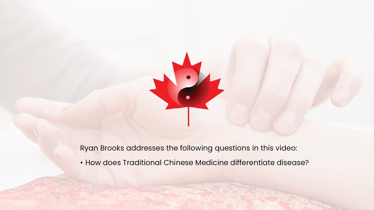 Ryan Brooks on acupuncture