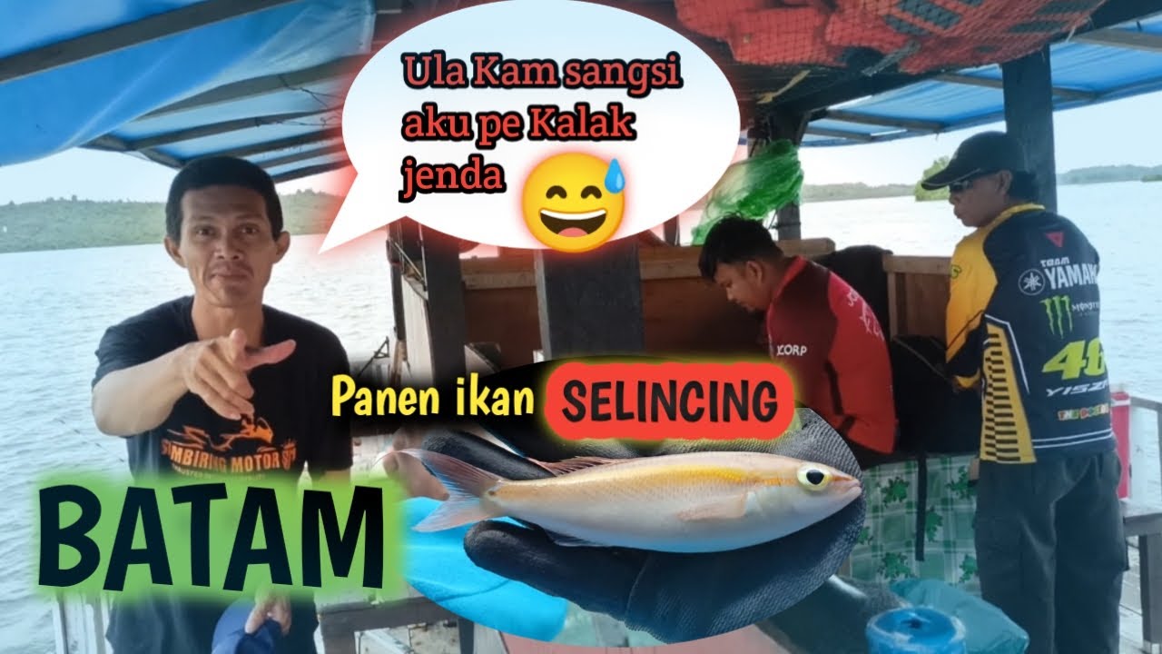 PANEN IKAN SELINCING DI LAUT BATAM || TEMAN SUPER KOCAK 😅 #batam #ikanlaut #fypシ