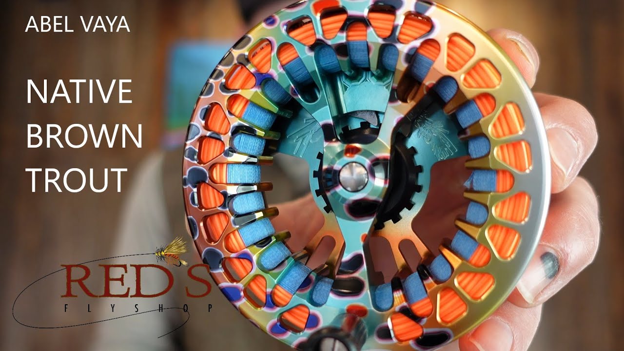 Abel Vaya Reel // Product Review