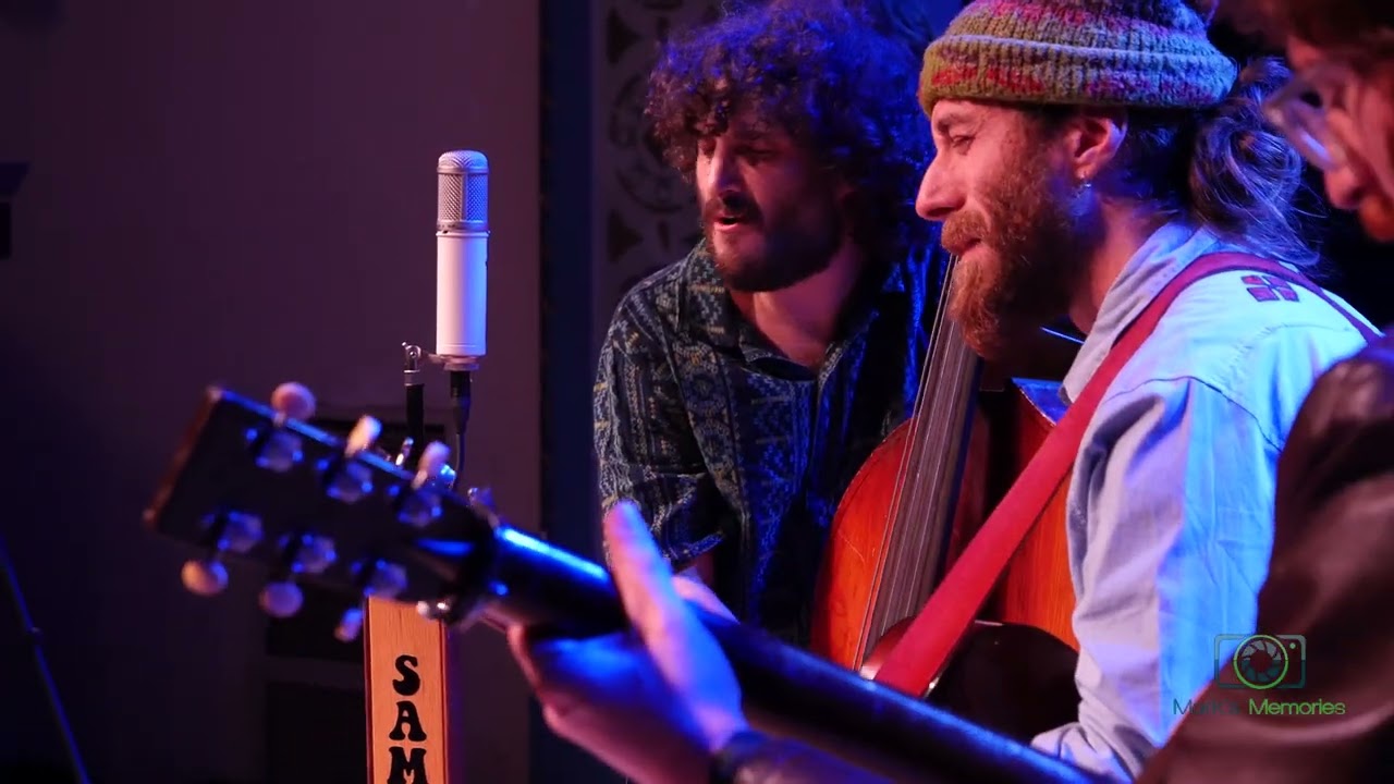 Sam Grisman Project | 2024-11-16 | Birdses/Bird Song