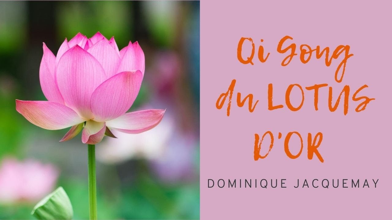 QI GONG MÉDITATIF DU LOTUS D'OR