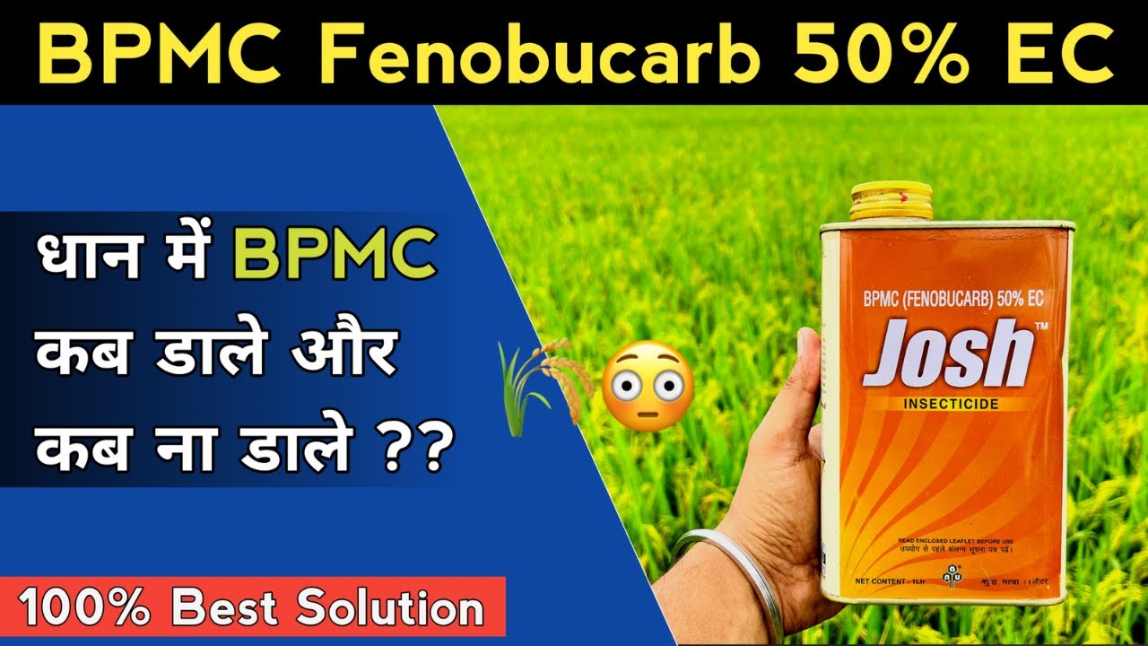 धान में BPMC क्यों डाले और क्यों ना डाले ? BPMC ( Fenobucarb 50% EC ) | Control BPH & WBPH In Rice
