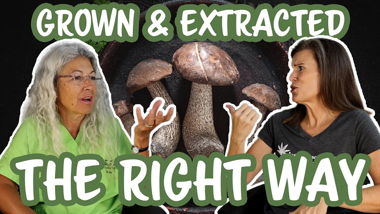 Are You Choosing the Right Mushroom Products? The Truth About Ethically Sourced Mushrooms