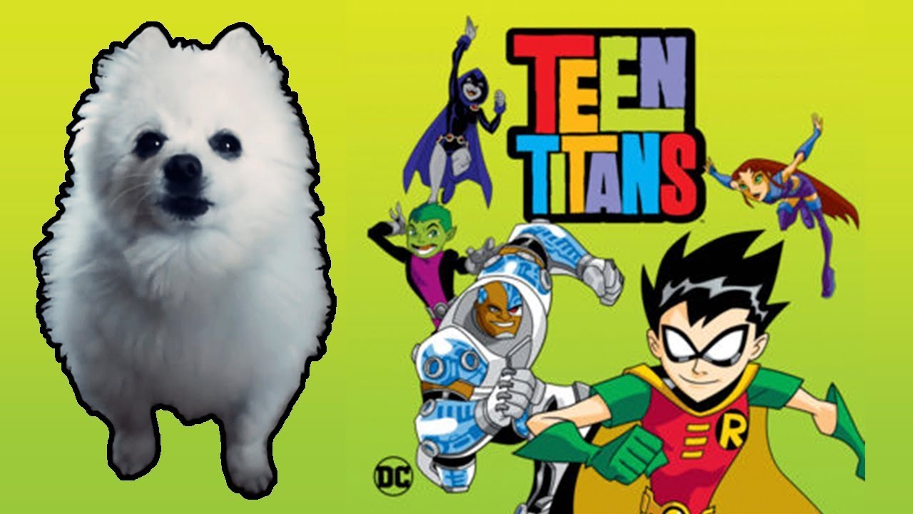 TEEN TITANS em CACHORRÊS
