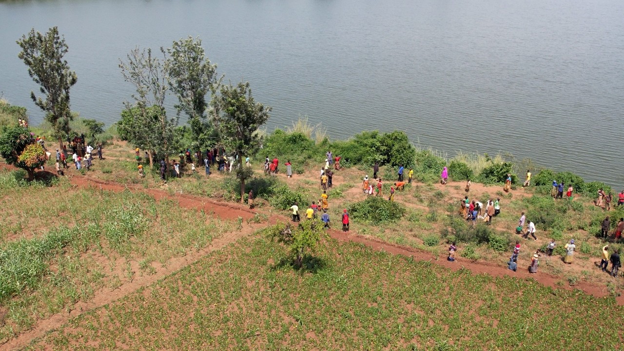 DUTERE IBITI, DUKINGIRE AMASHAMBA