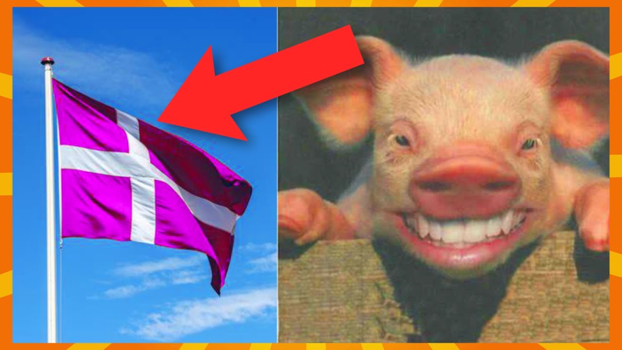 5 Ting Du IKKE Vidste Om Danmark!