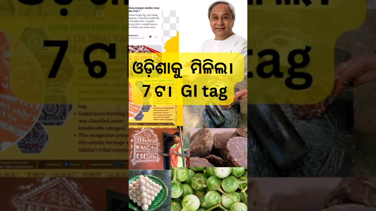 ଓଡ଼ିଶା କୁ ମିଳିଲା  7 ଟା GI tag #odishanews #geographicalindication