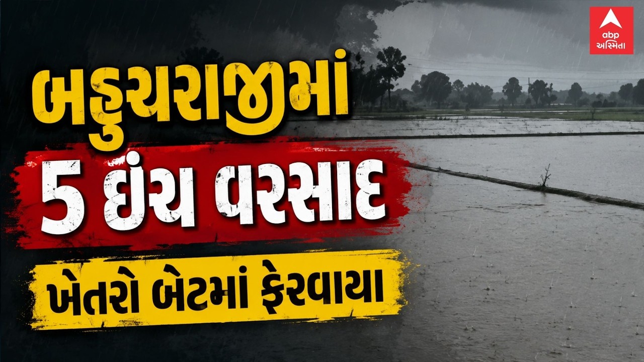 Mehsana Rain | બહુચરાજીમાં 5 ઈંચ વરસાદ | ખેતરો બેટમાં ફેરવાયા | Gujarat Monsoon