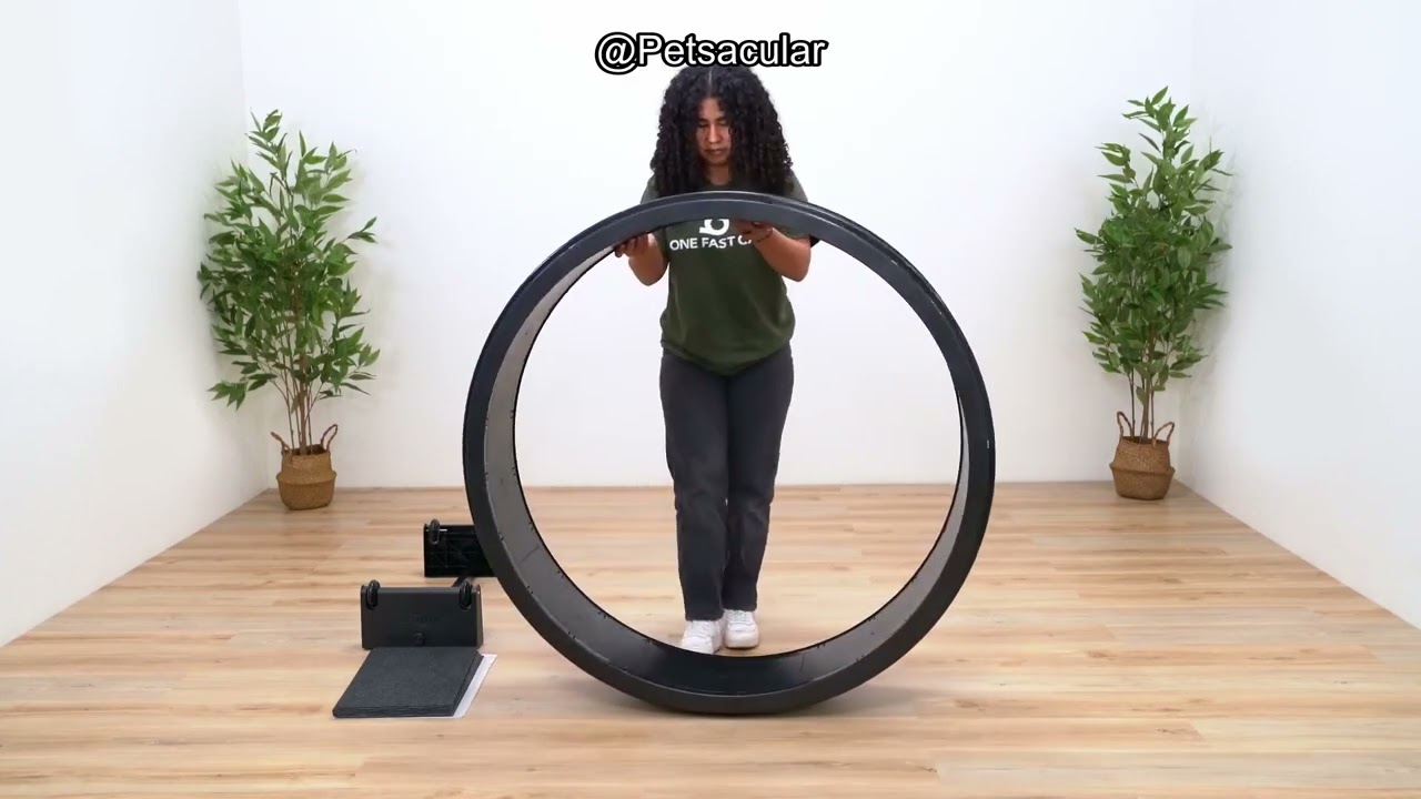 One Fast Cat Exercise Wheel Review: Is It Worth the Hype for Your Active Cat?
