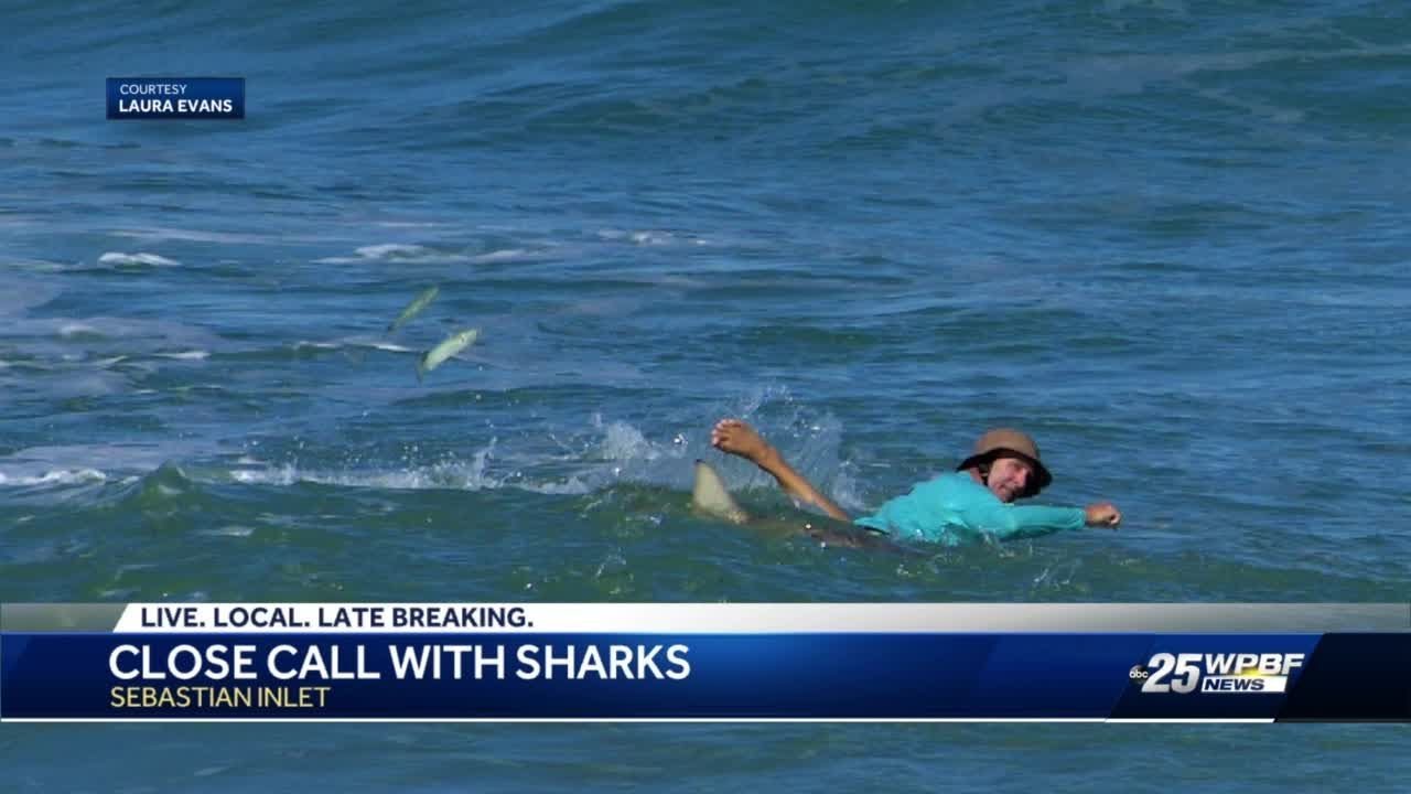PHOTOS: Man gets up close and personal with shark in Sebastian Inlet