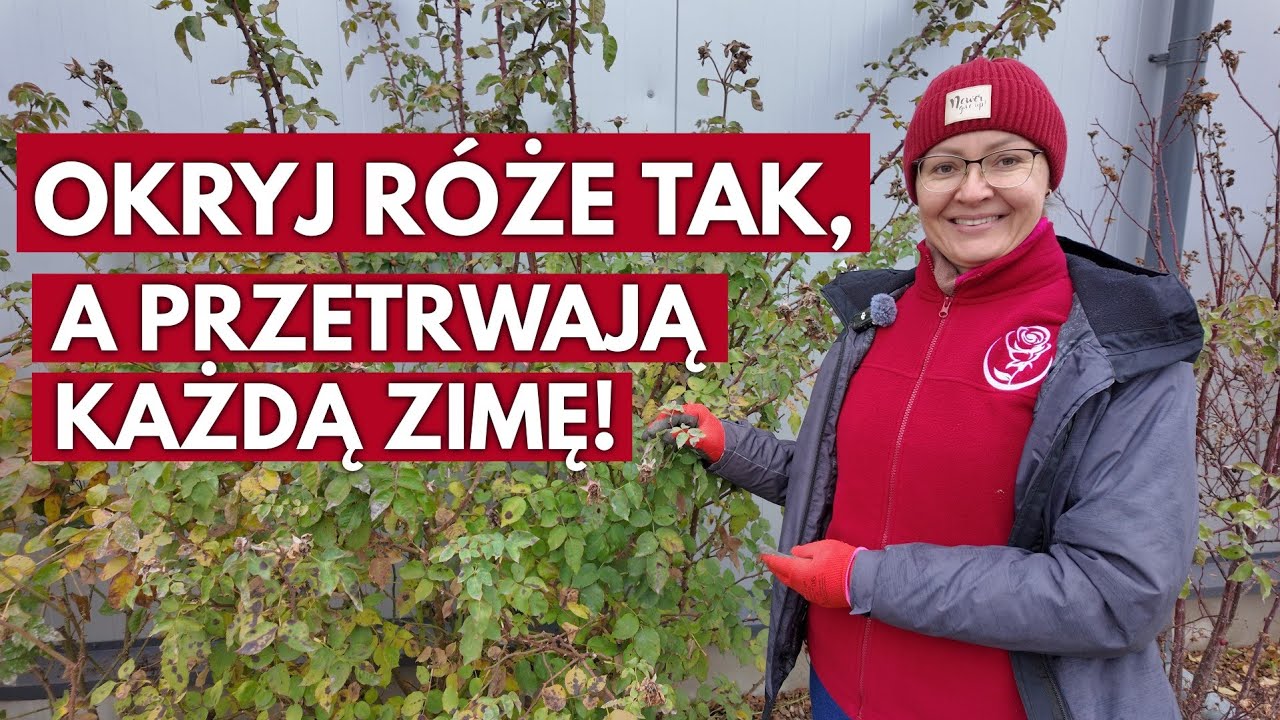 Nie okrywaj róż, zanim nie obejrzysz tego filmu!
