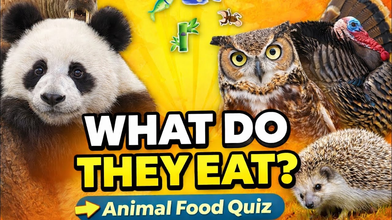 Animal Food Quiz Game 🎯 | What Do Animals Eat 🤔 | Fun Quiz  | Quiz Game | Quiz Video | Quiz