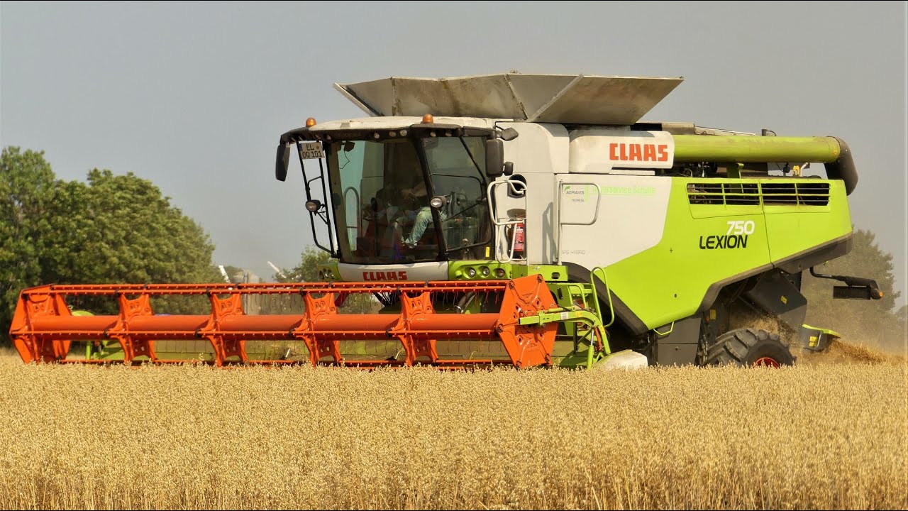 Getreideernte 2022/ Claas Lexion 750 TT