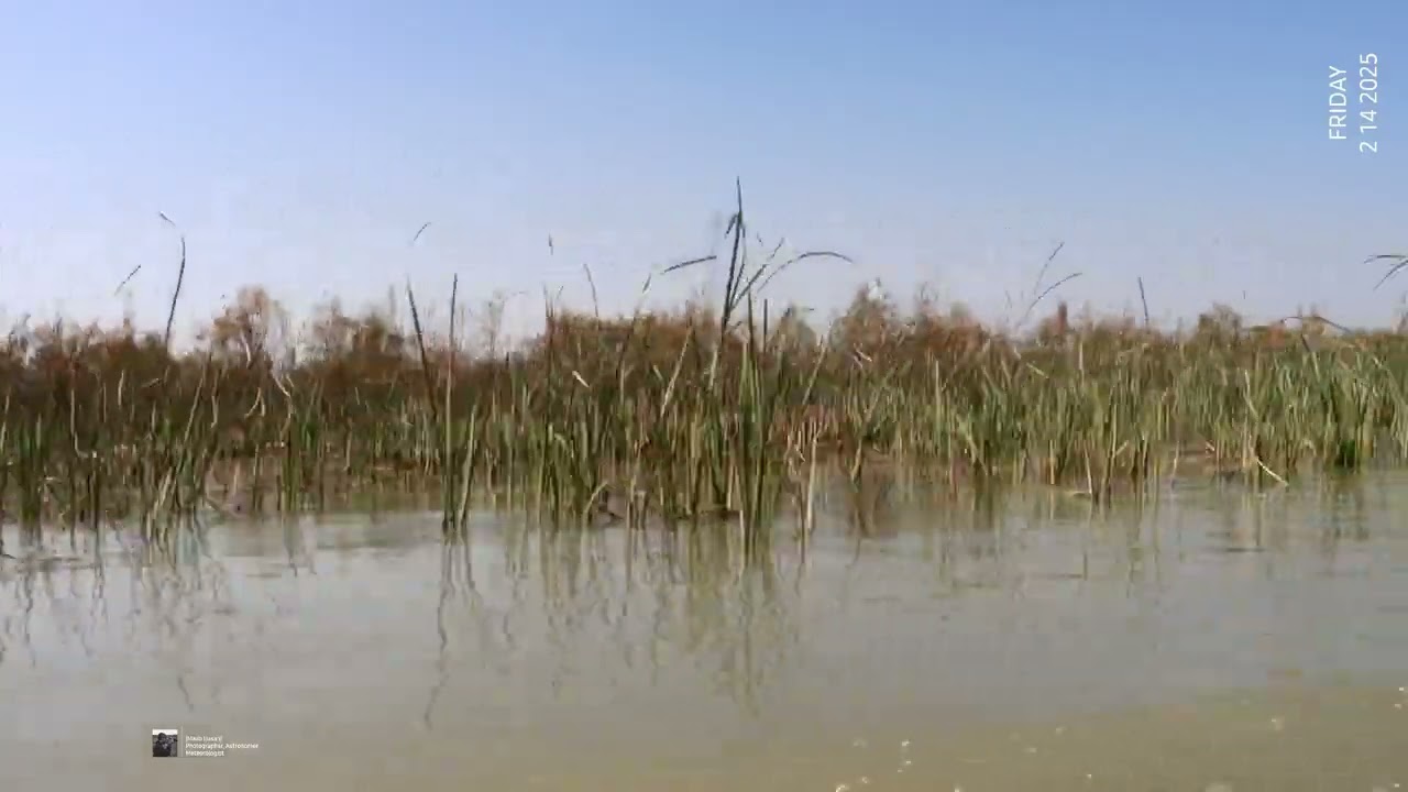 من داخل هور_الجبايش #6