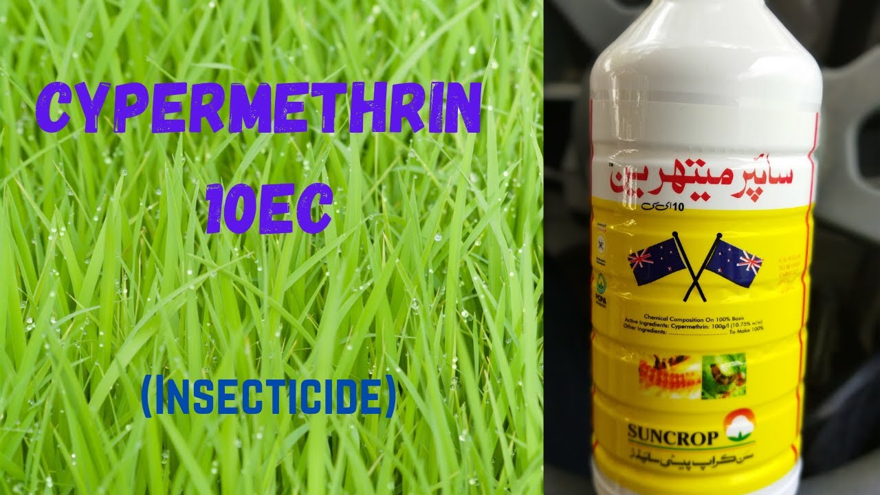 Cypermethrin 10 EC Insecticide / Uses & Mode of Action ( Urdu/Hindi)
