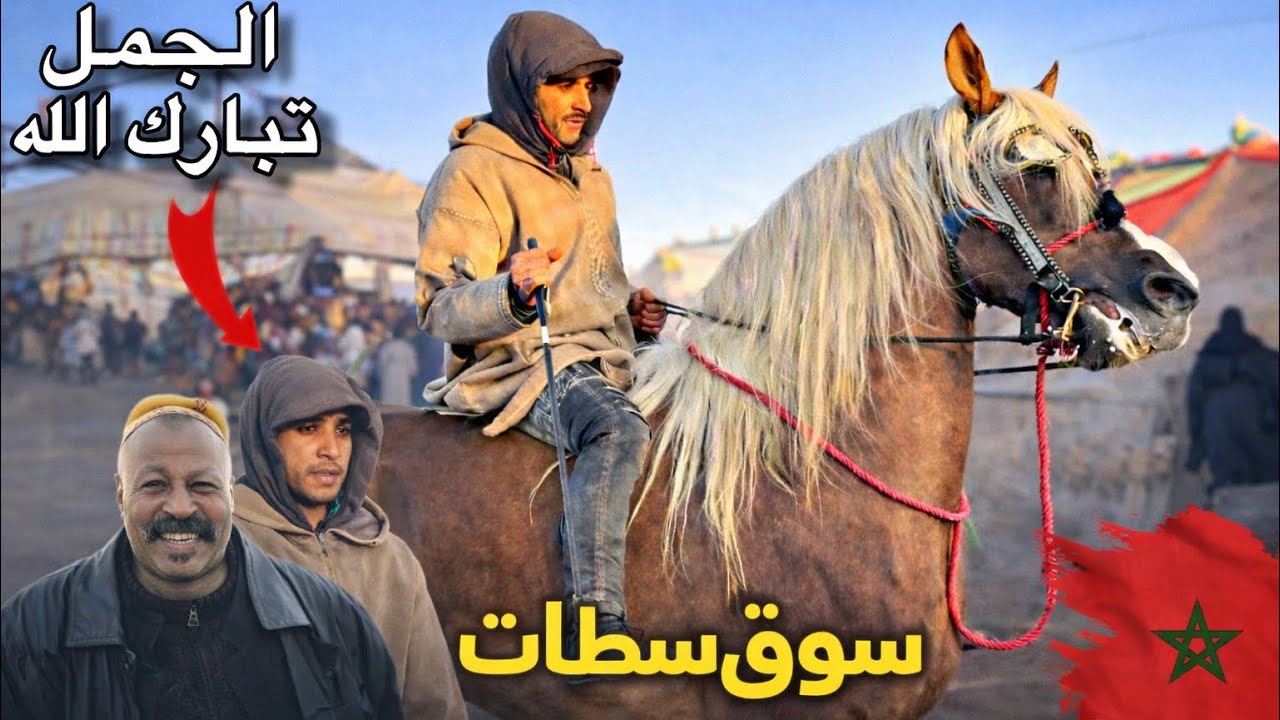 بعد غياب طويل فلوك من سوق سطات من جديد بادريس فرحان بزاف عندو همزة 😍