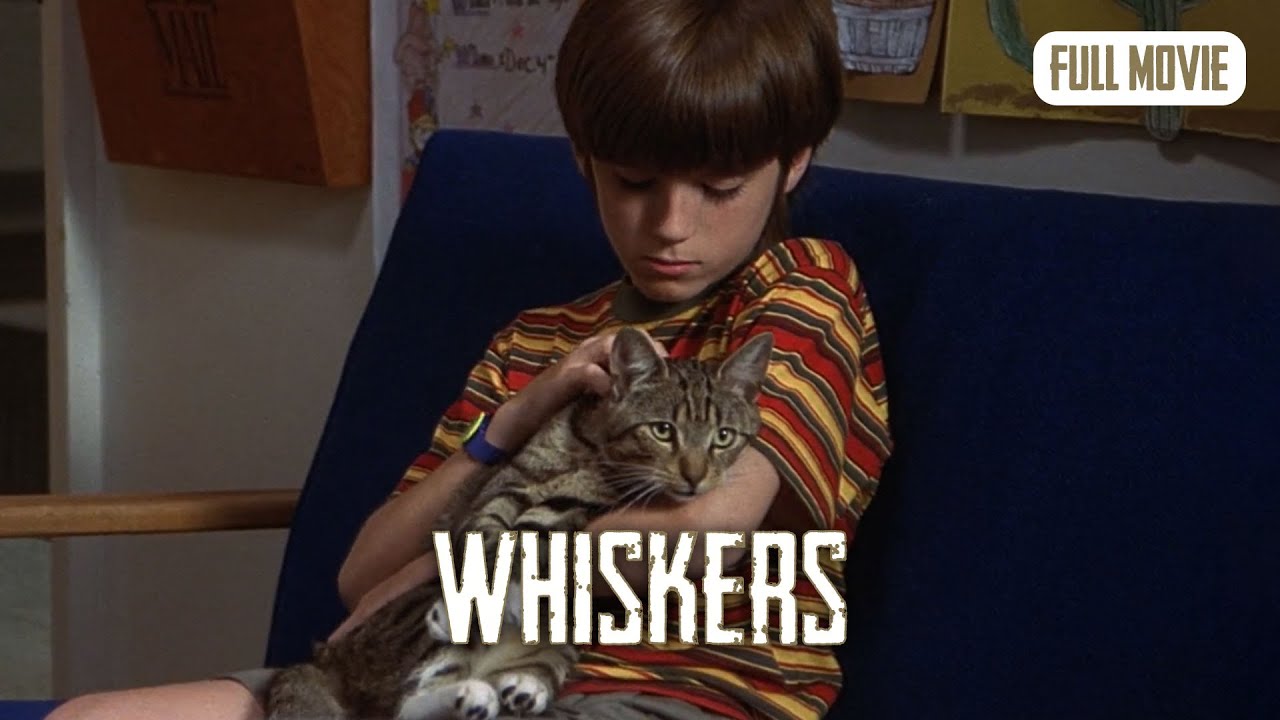 Whiskers | English Full Movie | Family Comedy Fantasy