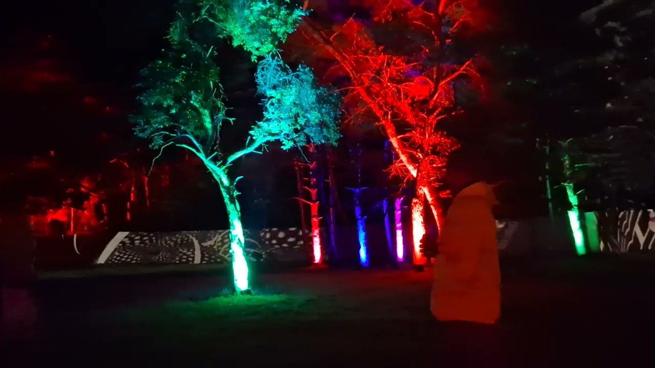 VOOV Festival 2025 #psychedelictrance #festival #voov 