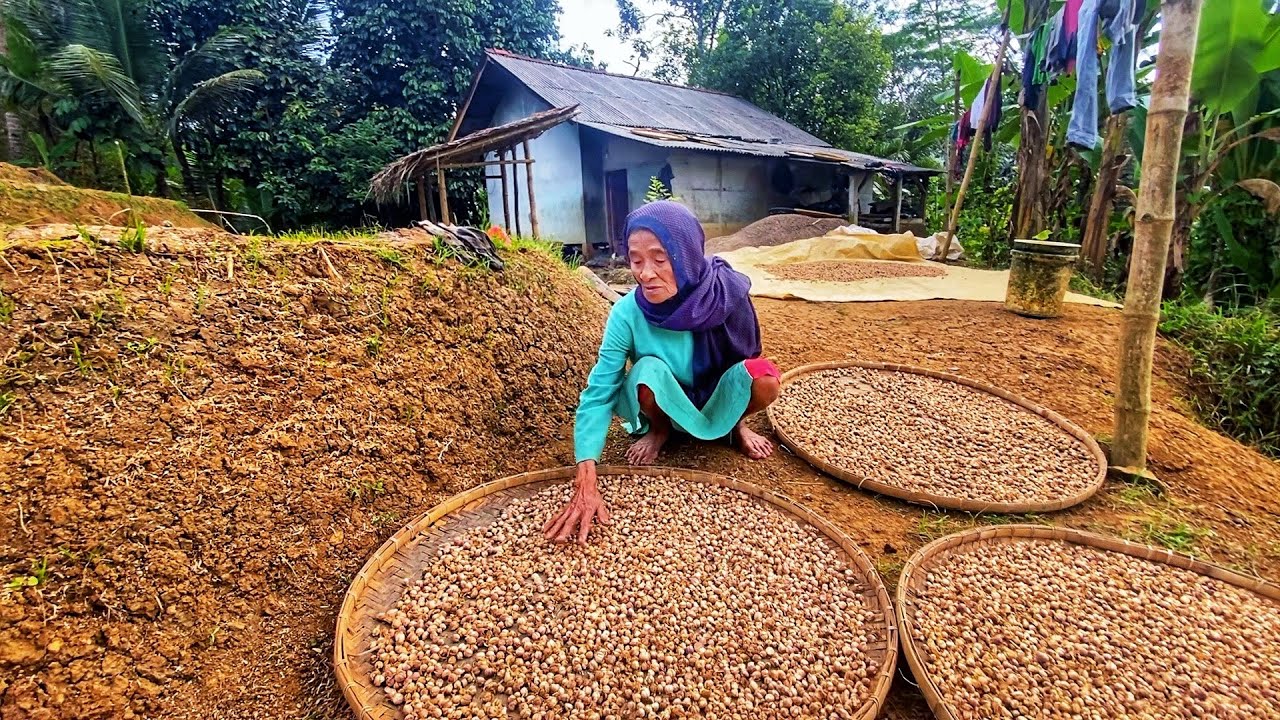 LUAR BIASA !! AKTIVITAS NENEK YANG HIDUP DI KAMPUNG SUNDA YANG MASIH ASRI. SUPER INDAH ALAM DESANYA