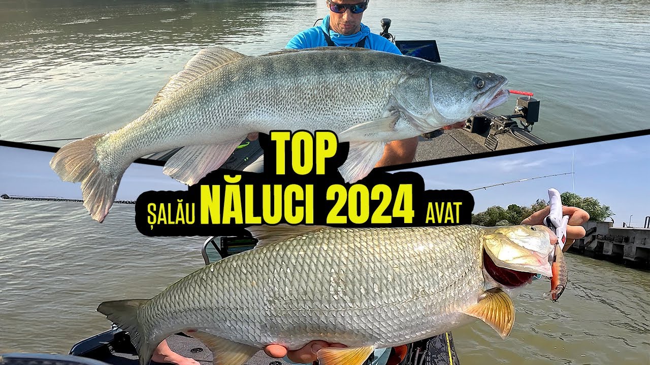 BEST of NALUCI 2024 - AVAT & SALAU