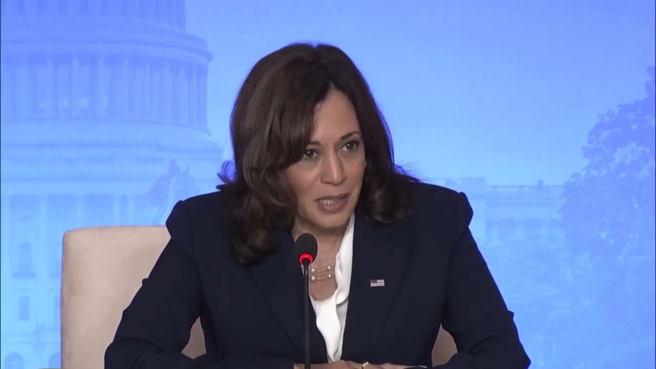 FULL REMARKS: Kamala Harris at US-ASEAN Summit Lunch | Southeast Asian Maritime Security (5/13/22)