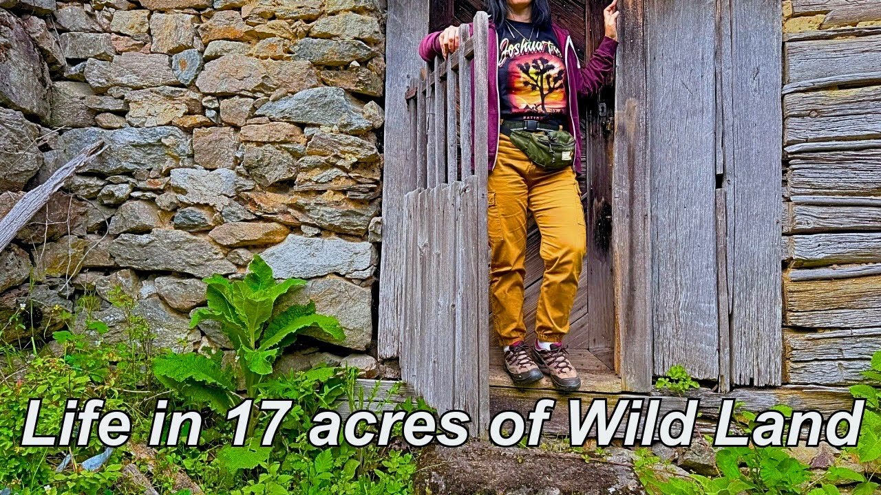 Living in ROMANIA: Life in Offgrid Land in the Mountains ⛰️ 