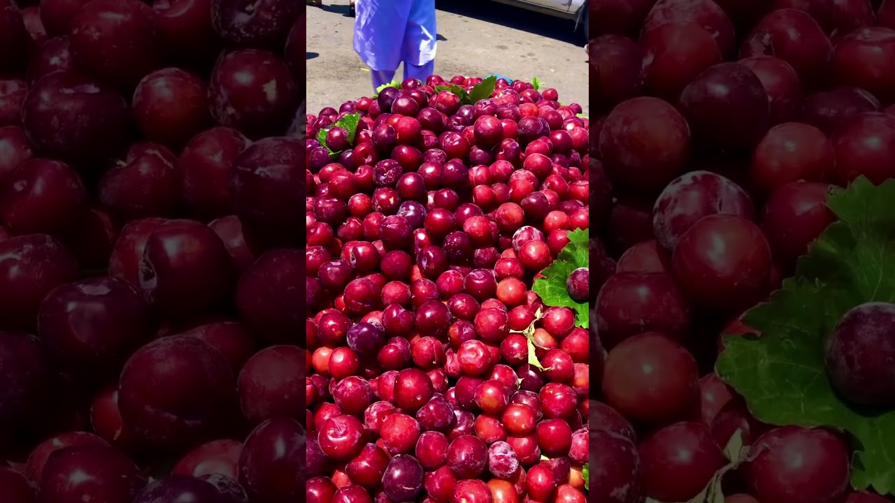 Fruit in Afghanistan
