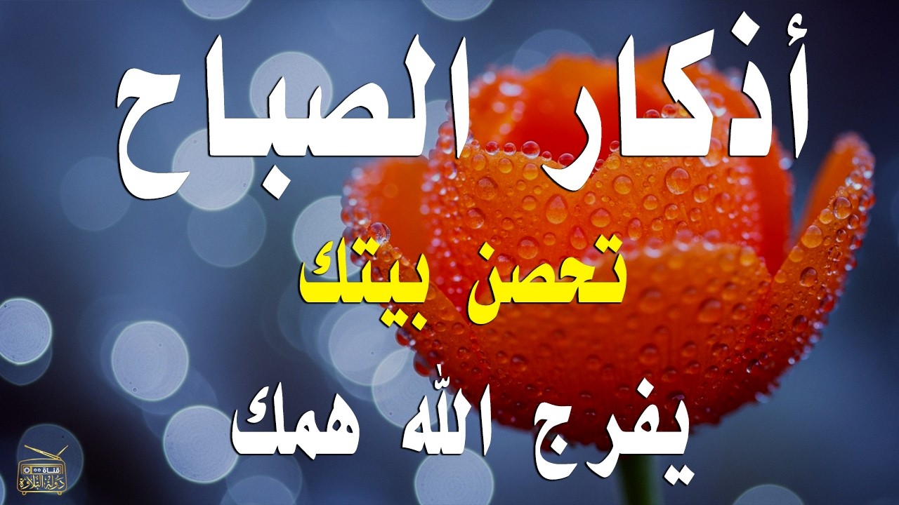 أذكار الصباح - راحة نفسية لا توصف بصوت القارئ علاء عقل | Morning Athkar - Dzkir Pagi by Alaa Aql