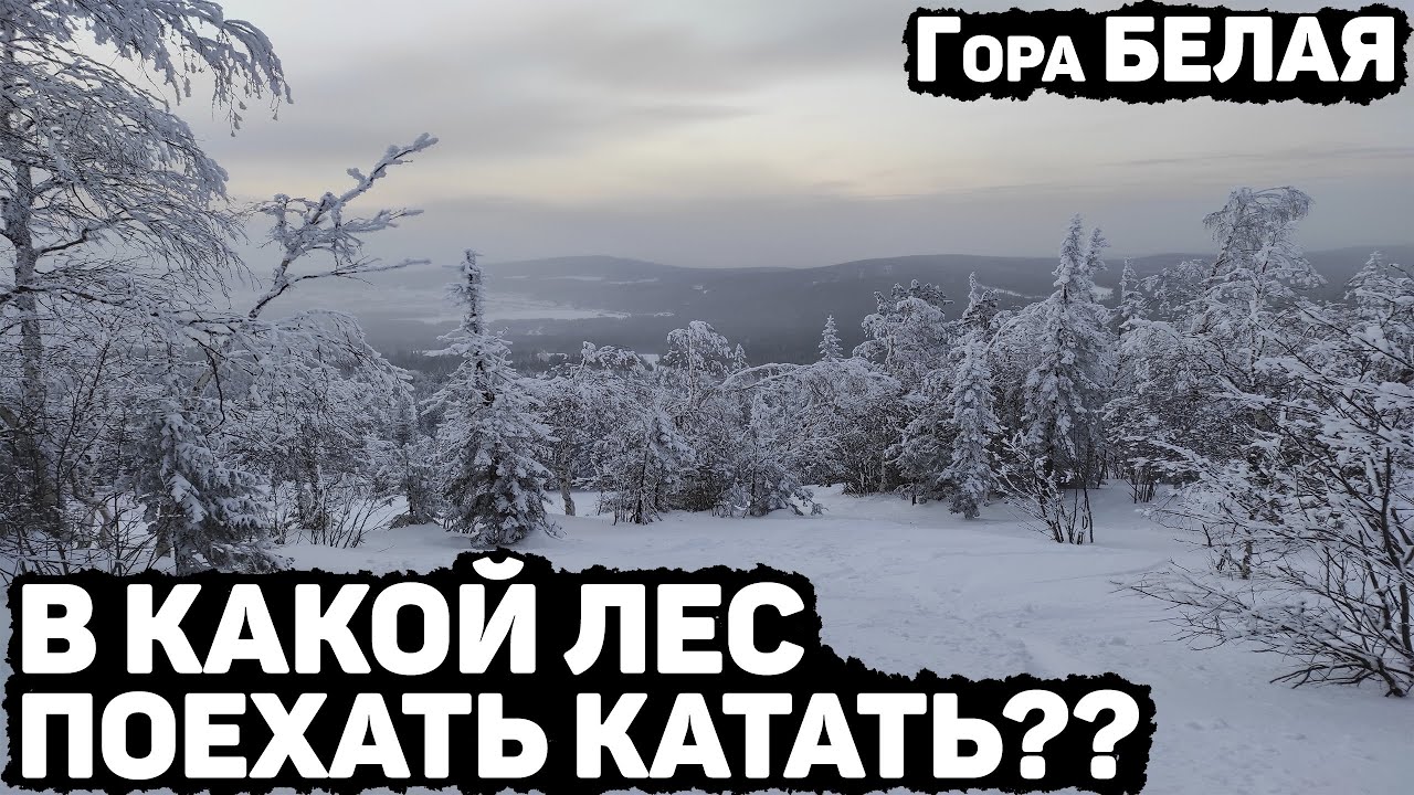 Фрирайд на БЕЛОЙ. В какой лес поехать???