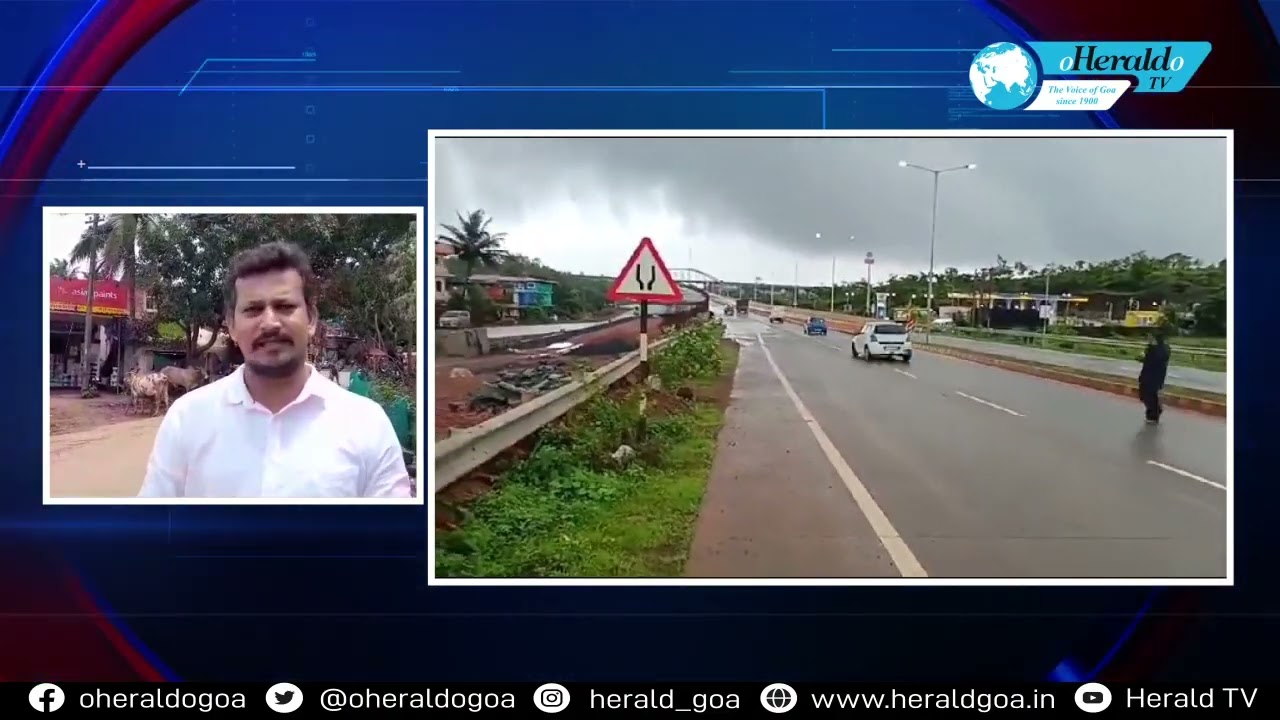 Stray cattle menace in Goa poses a risk of accidents and raises safety concerns
