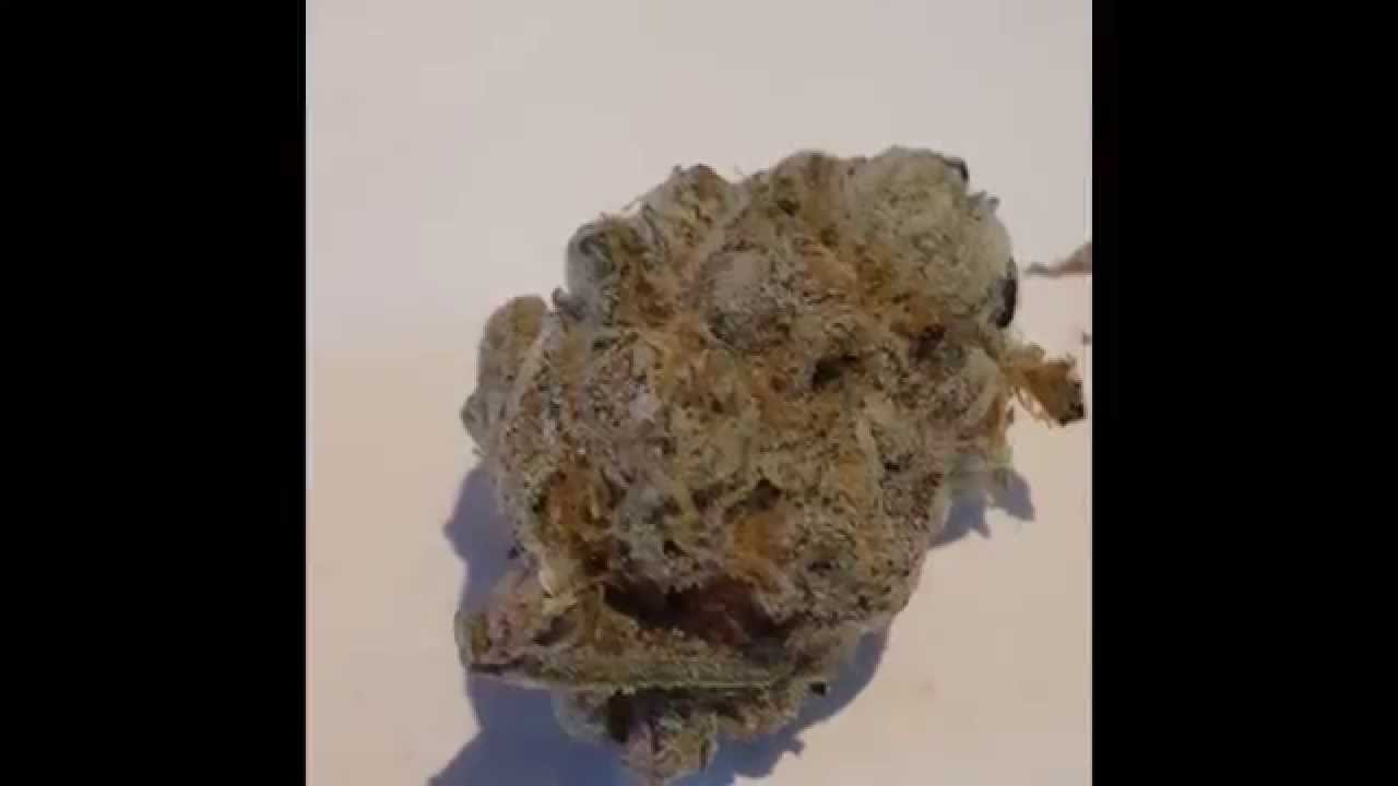 Bong hits compilation 2015 #3