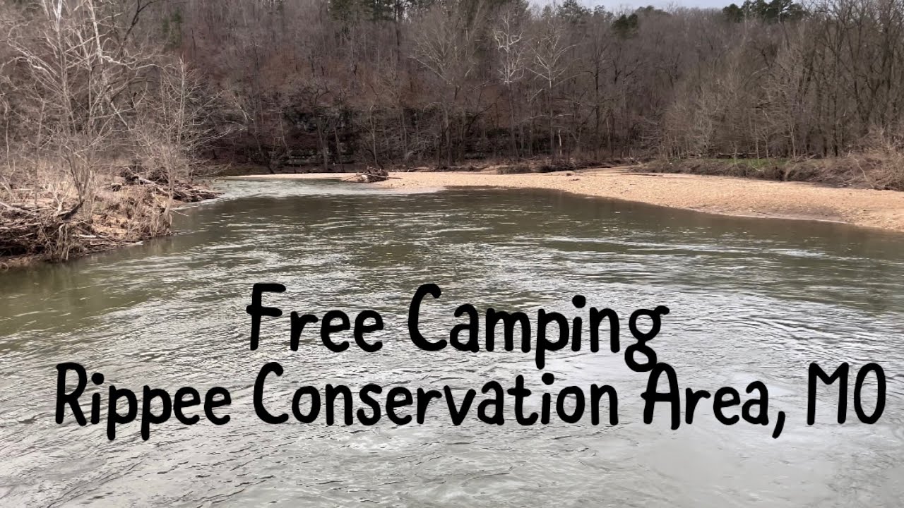 S1 Ep57: Free Camping - Rippee Conservation Area, MO - #abiyahbina #vanlife #minivanlife