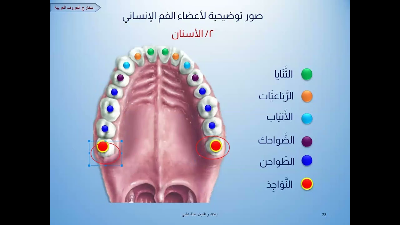 تعال نقرأ القرآن صح 👌 ( القراءة الصحيحة لحروف أقصى اللسان : القاف ، الكاف )