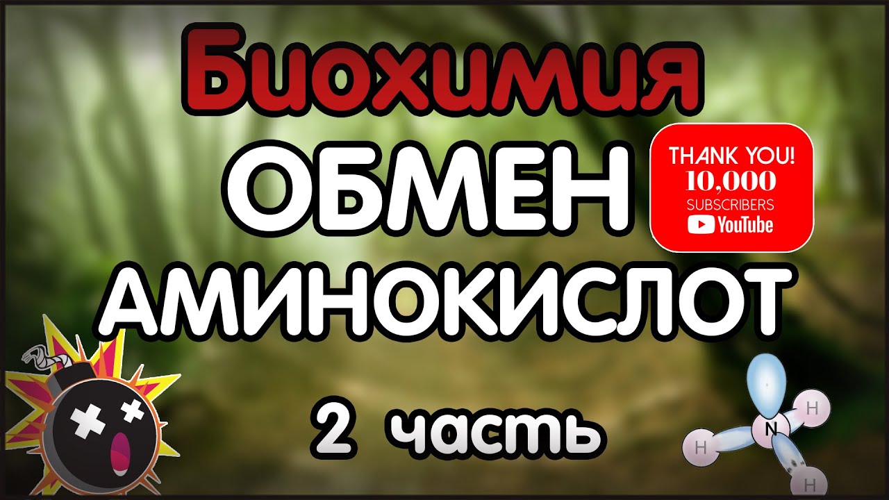 Биохимия. Лекция 40. Обмен аминокислот. 2 часть. Обезвреживание аммиака