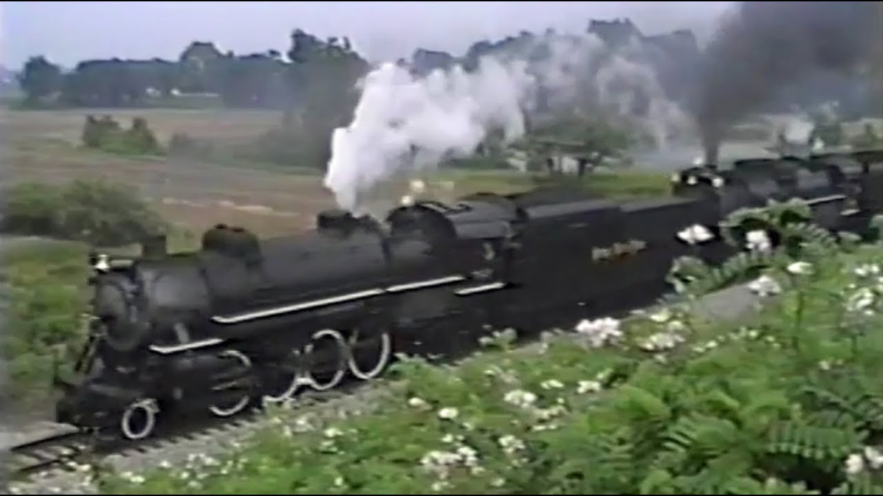 Trains of Indiana - July 24 1993 - NKP 587 & 765 doubleheader
