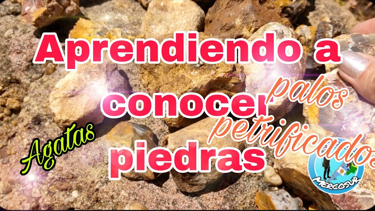 PIEDRAS  NATURALES  SEMI PRECIOSAS Y TRONCOS PETRIFICADOS 😱🇦🇷.