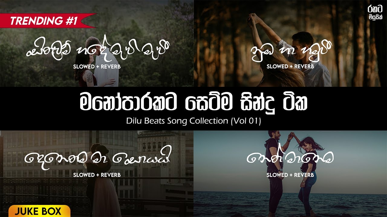 මනෝපාරකට හොදටම සෙට්වන ගීත එකතුව | Dilu Beats Song Collection (Vol 1) 🌿❤️&zwj;🩹