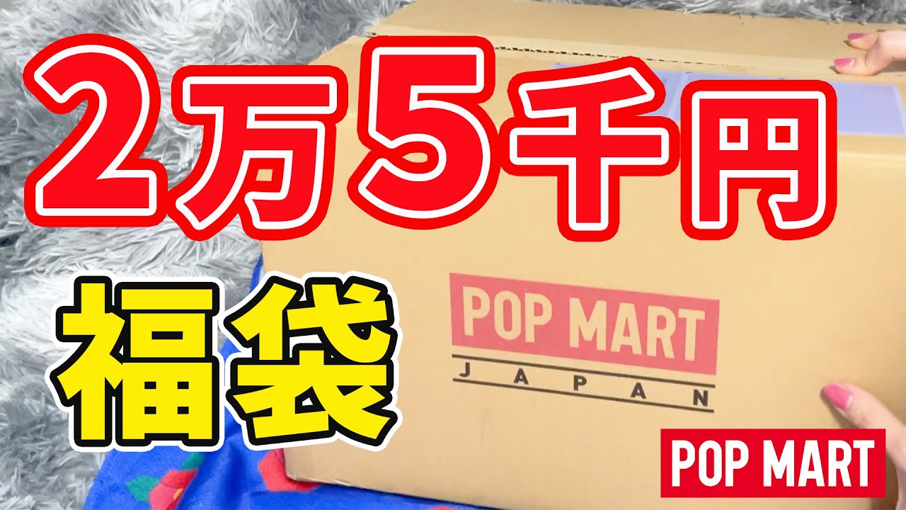 ２万５千円のアートトイ福袋の中身って何入ってるの！？POPMART 福袋 黒龍開封！～前編～【ポップマート】