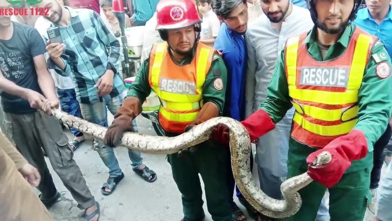 Brief Introduction of Emergency Service Rescue 1122 Punjab Pakistan - English