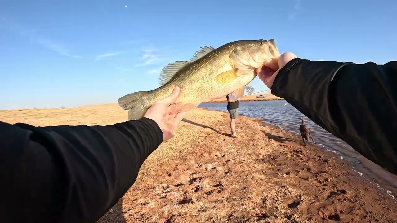 Fishing Loaded Farm Pond! First Bass of The Year!
