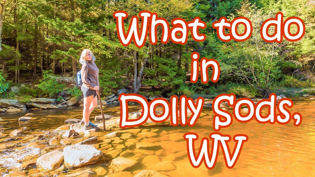 Dolly Sods Wilderness in West Virginia - Things to do