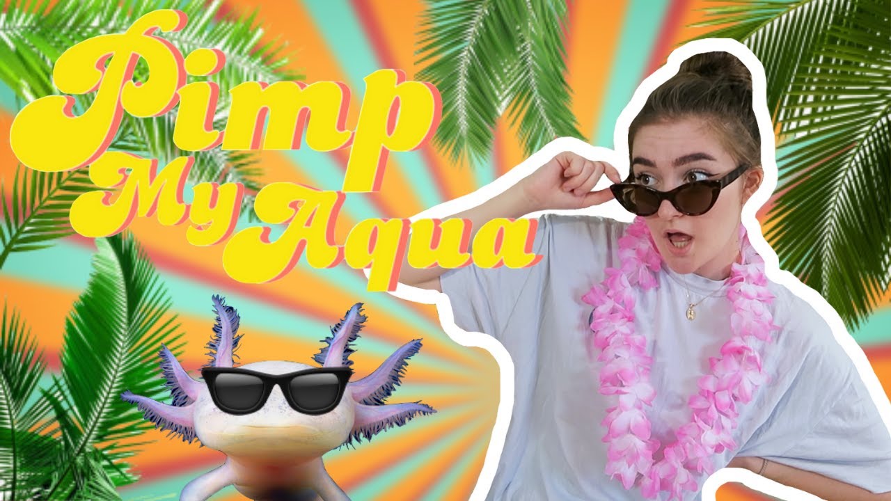 JE PIMPE SON AQUARIUM POUR L'ÉTÉ