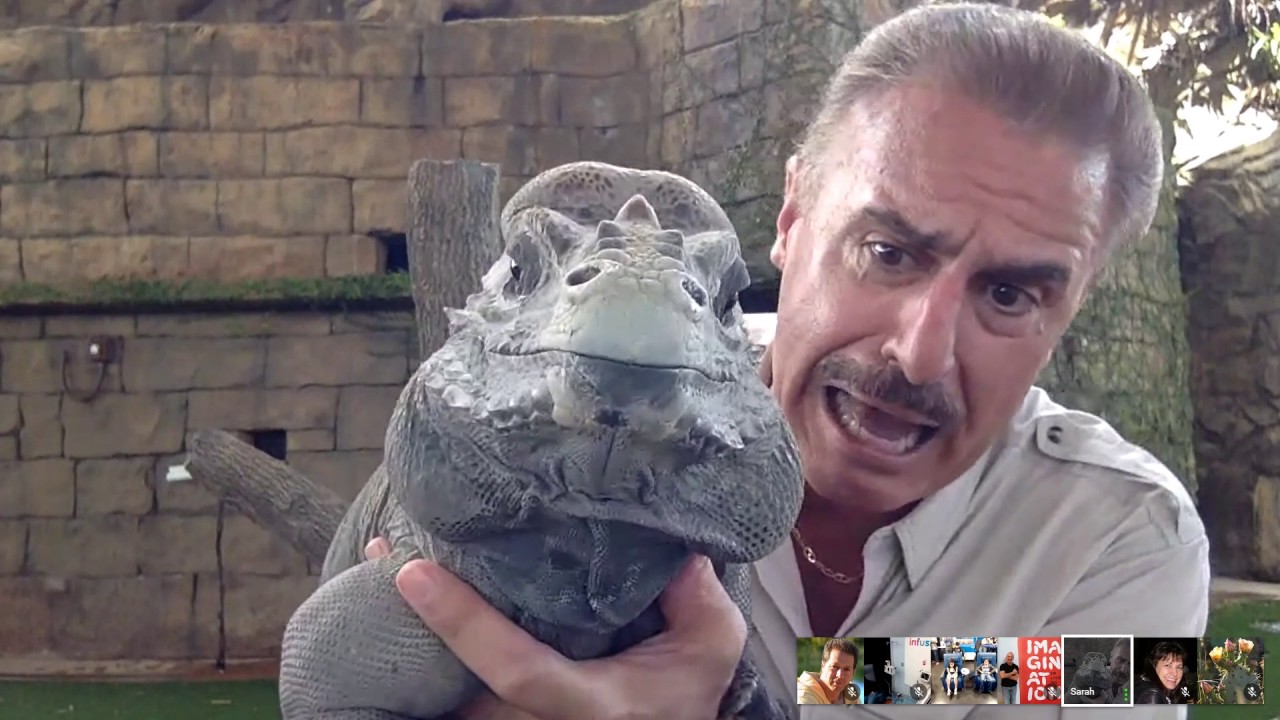 Infusionarium Live Event   Zoo Miami with Ron Magill