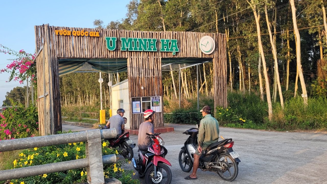 Câu cá lóc rừng U Minh Hạ ngày thứ 3 mở cửa, người nhiều cá táp cũng nhiều#hoangthichcauca #caucaloc
