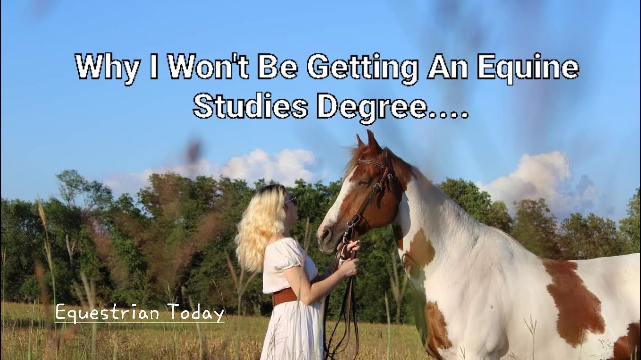 Why I Won't Be Getting An Equine Studies Degree | Life In Highschool | The Equestrian Today
