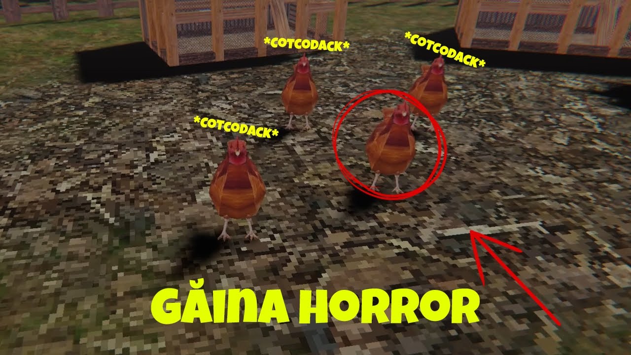 Nu hrăni găinile la ora 3 dimineața (Horror)